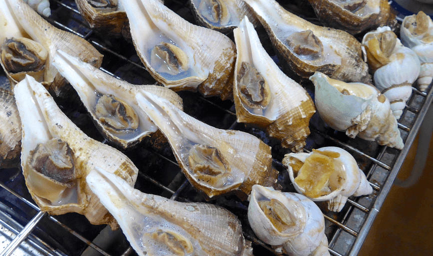 Grilled Conch